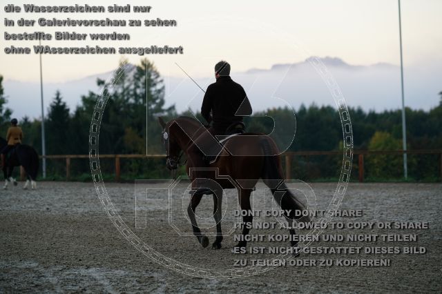 s_K3F09208.JPG